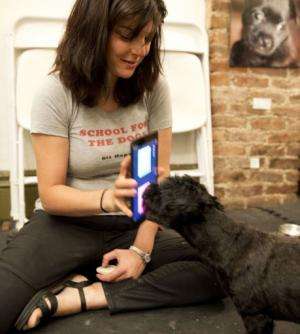 Anna Grossman holds her Ipad while her dog Amos touches the screen with his nose August 19, 2013 in New York