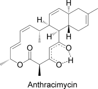 Anthrax killer from the sea: Unusual antibiotic from a marine actinomycete is effective against anthrax
