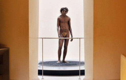 A photo taken on July 2, 2008 in Eyzies-de-Tayac, Dordogne, shows a model representing a Neanderthal man