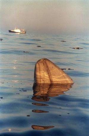 A piece of TWA flight 800 floats in the waters of the Atlantic Ocean July 18, 1996 off the coast of Long Island New York