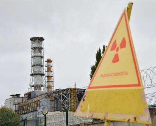 A radioactive sign near a shelter and containment area at Chernobyl's old nuclear power plant is seen on August 25, 2013