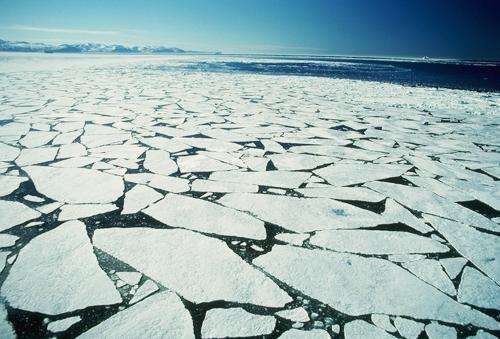 Arctic current flowed under deep freeze of last ice age, study says