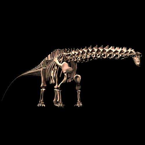 A sauropod walks into a bar. 'Why the long neck?'