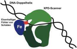 A scanner for hereditary defects