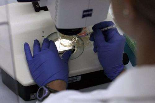 A scientist is pictured on August 27, 2010 working on stem cells in a laboratory