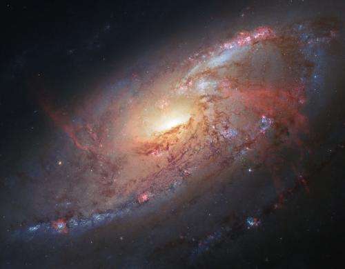A spiral galaxy with a secret