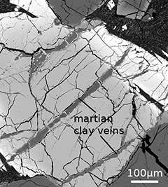 Astrobiologists find Martian clay contains chemical implicated in the origin of life