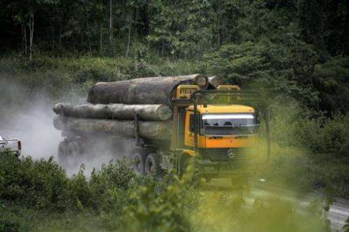 A truck carries away timber in the upper Baram region of Malaysia's eastern Sarawak state on July 22, 2010