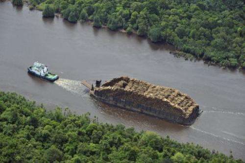 A tugboat pulls a barge loaded with logs on Sumatran river on October 16, 2010