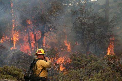 A US Forest Service firefighter monitors a spot fire on August 24, 2013 in Yosemite National Park, California