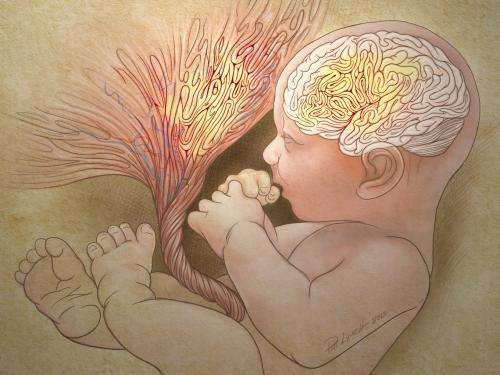 Autism risk spotted at birth in abnormal placentas