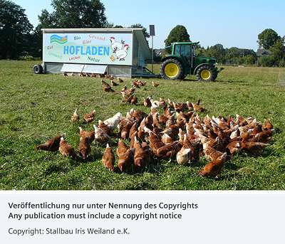 Automated Comfort for Free-Range Hens