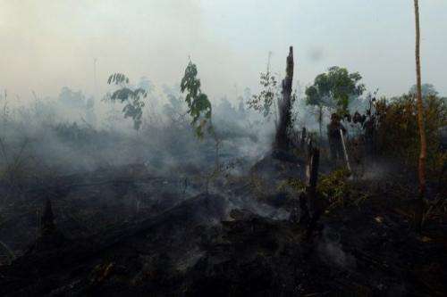 A worker from a palm oil concession company, seen at right, extinguishes forest fire on Sumatra island, on June 29, 2013