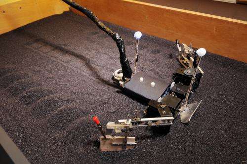 Baby sea turtles and flipper-driven robot reveal principles of moving on sand