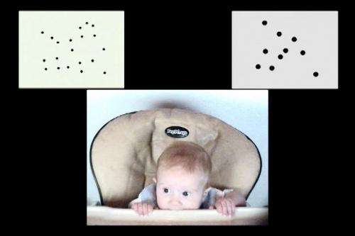 Baby's innate number sense predicts future math skill