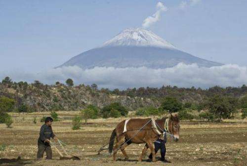 Backdropped by Popocatepetl Volcano a farmer plows the land in the state of Puebla, on May 14, 2013