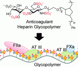 Battle of the blood clots: Tailored glycopolymers as anticoagulant heparin mimetics