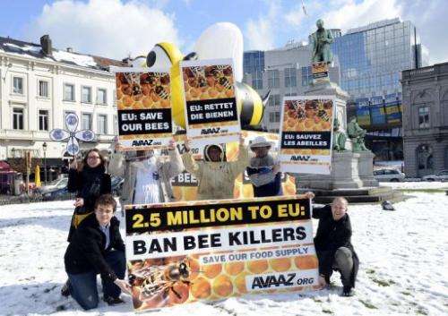 Bee keepers demonstrate to demand that lawmakers ban the use of bee-killing pesticides in Brussels, on March 14, 2013