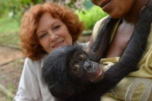 Belgian Claudine Andre looks at an an orphaned bonobo, on March 5, 2013, in Kinshasa