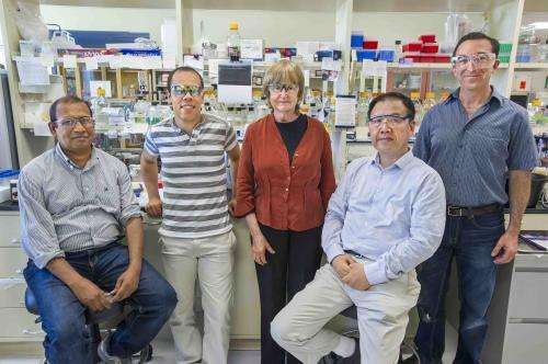Berkeley Lab confirms thirdhand smoke causes DNA damage