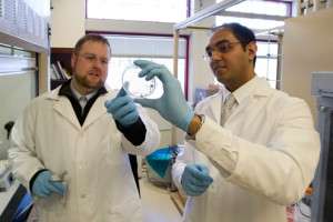 Biochemists develop new technology to transfer DNA into cells