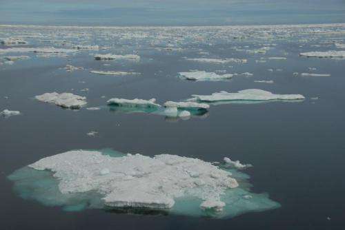 Biologists lead international team to track Arctic response to climate change