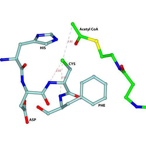 Blocking the active site of thiolase