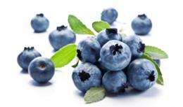 Blueberries each day may keep the doctor away