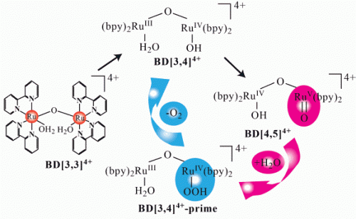 Blue ruthenium dimer catalysis for hydrogen generation