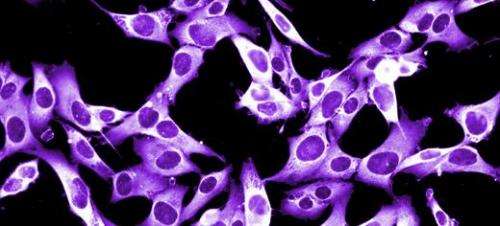 Body's natural defence carries early warning system for recurring cancers