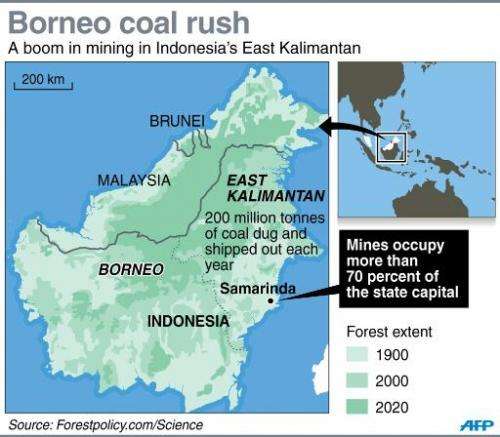 Borneo coal rush