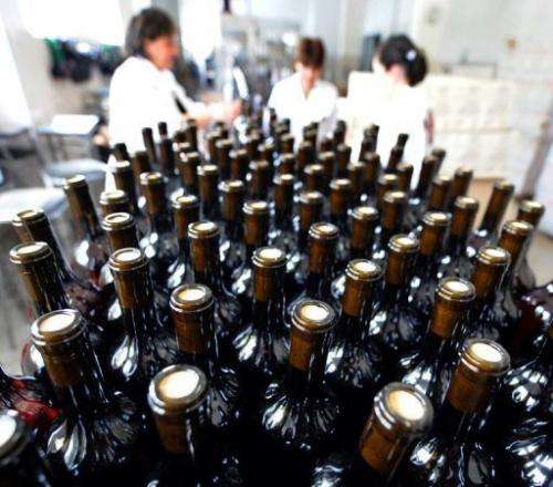 Bottles move along a conveyor belt towards the packing bay at a wine factory in Lilo near Tbilisi, on June 20, 2013