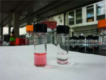 Bovine blood keeps gold nanoparticles stable