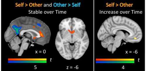 Brain biology tied to social reorientation during entry to adolescence