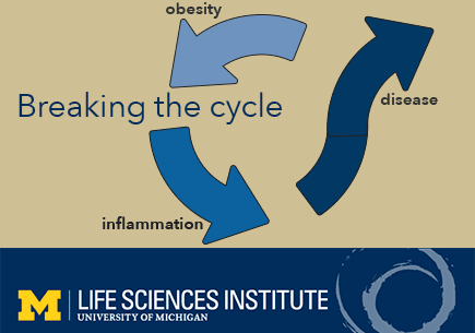 Breaking the cycle of obesity, inflammation and disease