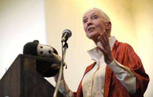 British primatologist Jane Goodall delivers a speech at the National Museum on January 26, 2013 in Nairobi