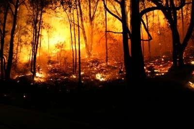 Bushfire smoke poses health risks