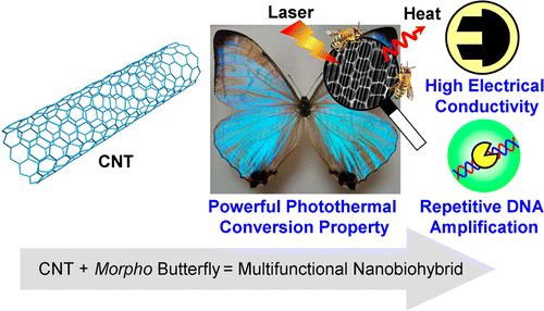 Butterfly wings + carbon nanotubes = new 'nanobiocomposite' material