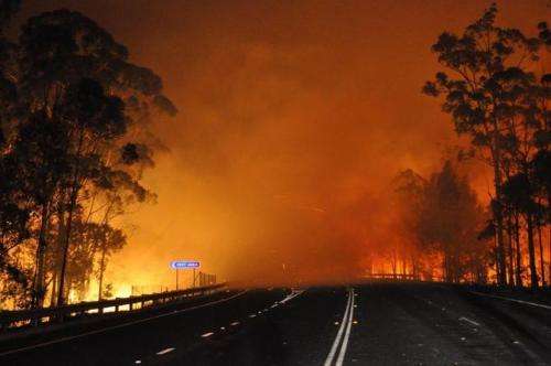 Call for merit-based funding as bushfire research money runs out
