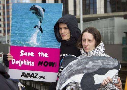 Campaigners attend a rally to protect the critically endangered Maui's dolphin in Wellington on May 2, 2012