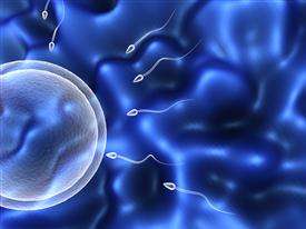 Can environmental contaminants cause lower sperm count?
