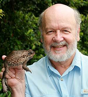 Cane toad pioneers speed up invasions