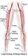 Cardiac autonomic dysfunction is linked to arterial stiffness