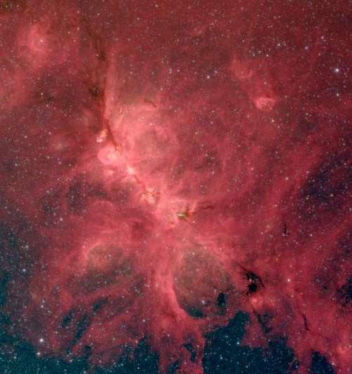 Cat's Paw Nebula 'littered' with baby stars