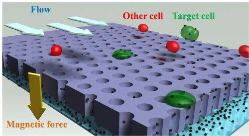 Cell-detection system promising for medical research, diagnostics