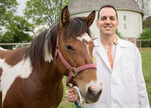 Cellphone technology helps horses recover from surgery
