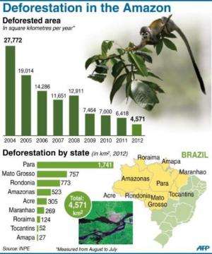 Chart showing rate of deforestation in the Amazon