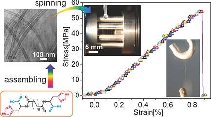 Chemistry team creates spontaneously forming supramolecular nanotube yarn