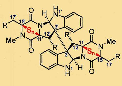 Chemists find help from nature in fighting cancer