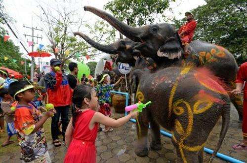 Children take part in water battles with elephants in Ayutthaya province on April 12, 2013 during the Songkran Festival